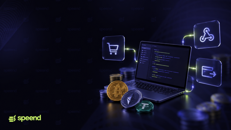 Как подключить API криптошлюза: руководство для разработчика crypto payment gateway api 3